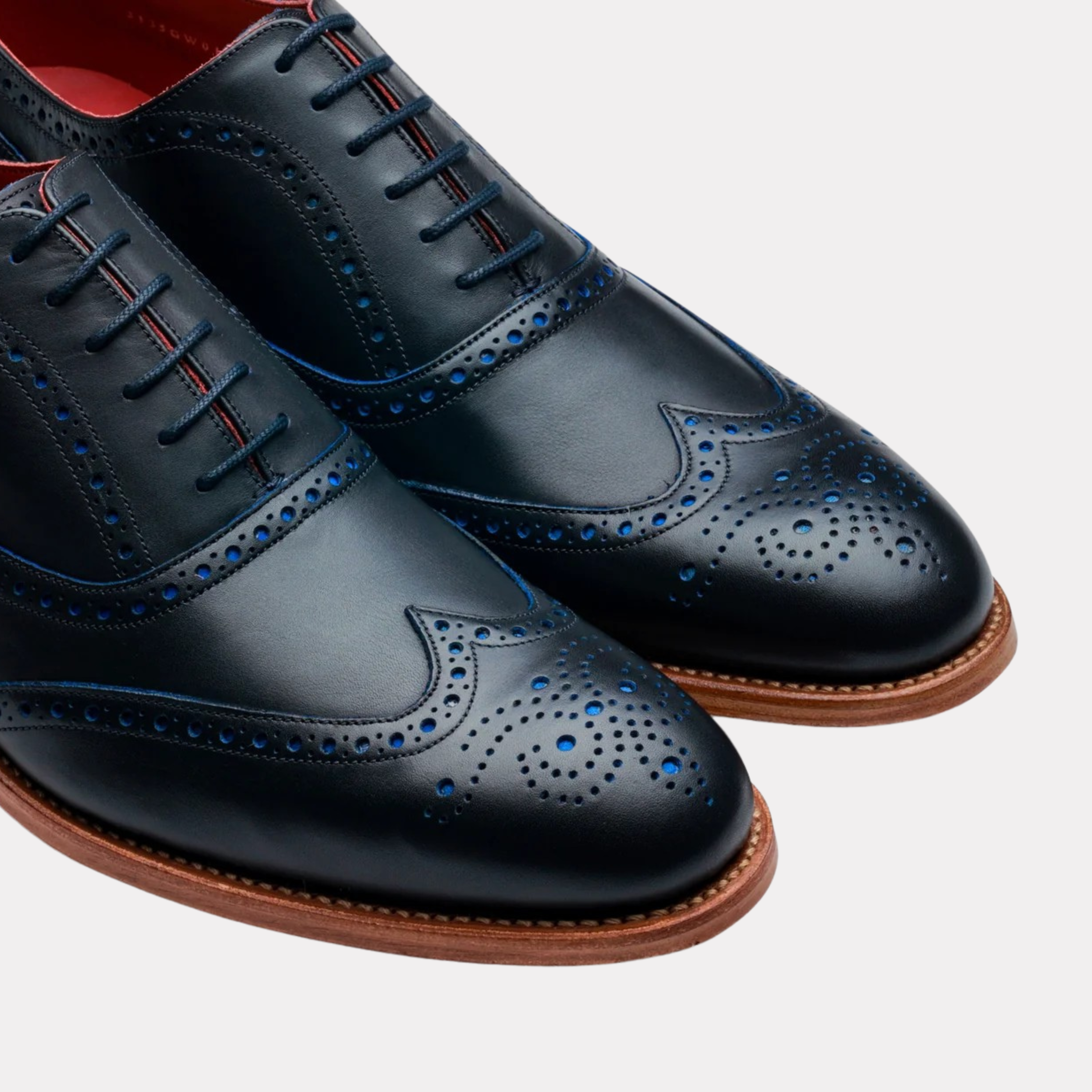 Brando 2 - Navy Calf Blue Punch