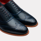 Brando 2 - Navy Calf Blue Punch