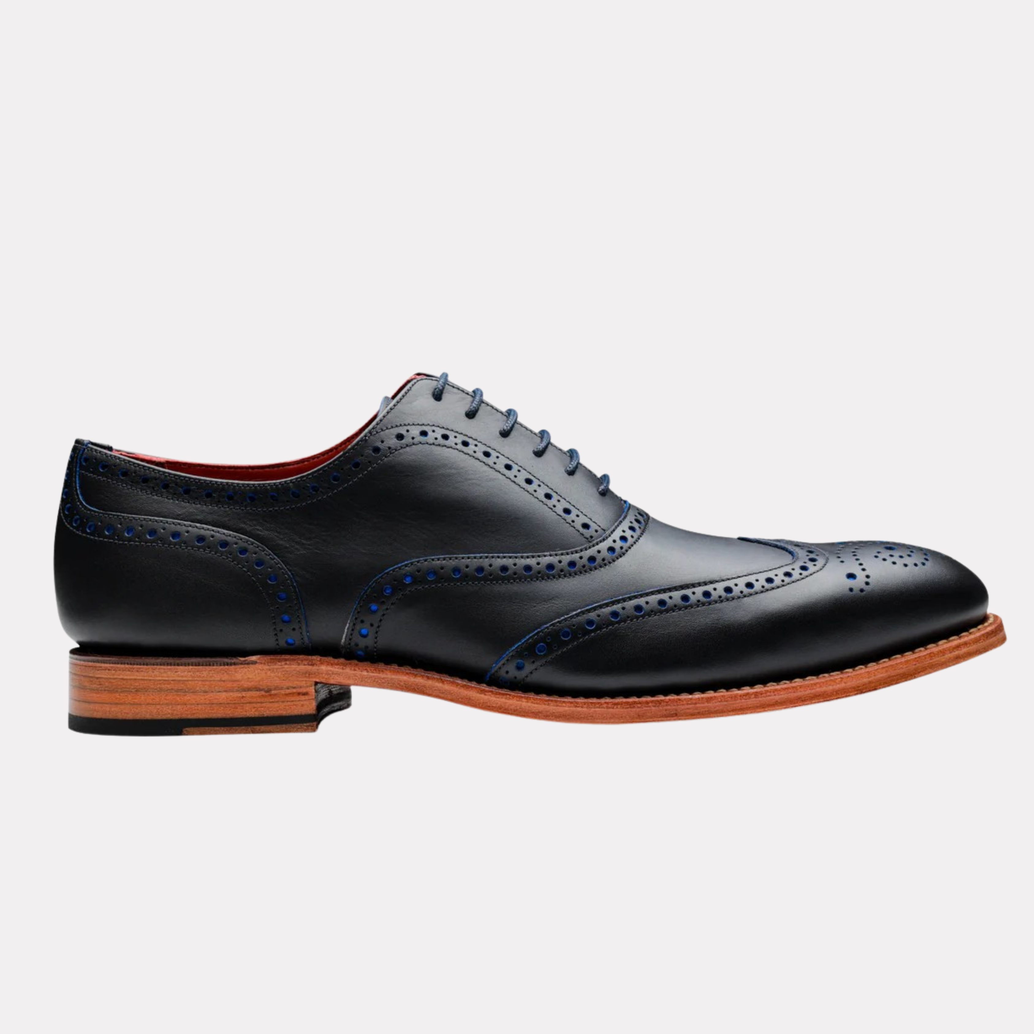Brando 2 - Navy Calf Blue Punch